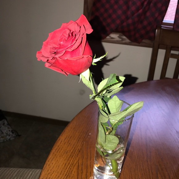 Meet your Posher, Tracy - Picture 1 of 1